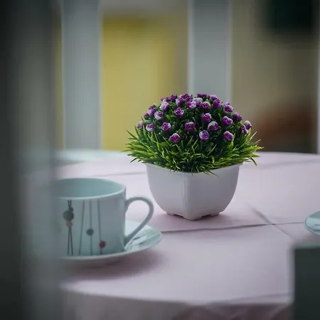 Snjezana Apartament Makarska