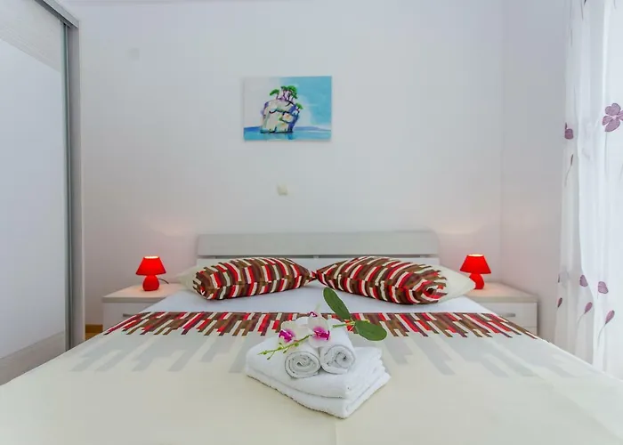 Snjezana 马卡尔斯卡