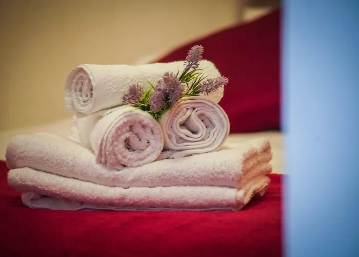 Snjezana 马卡尔斯卡