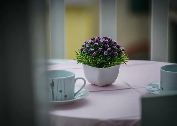 Snjezana Apartment Makarska